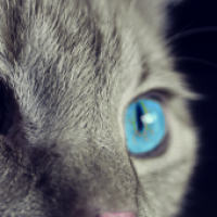 Test User4
