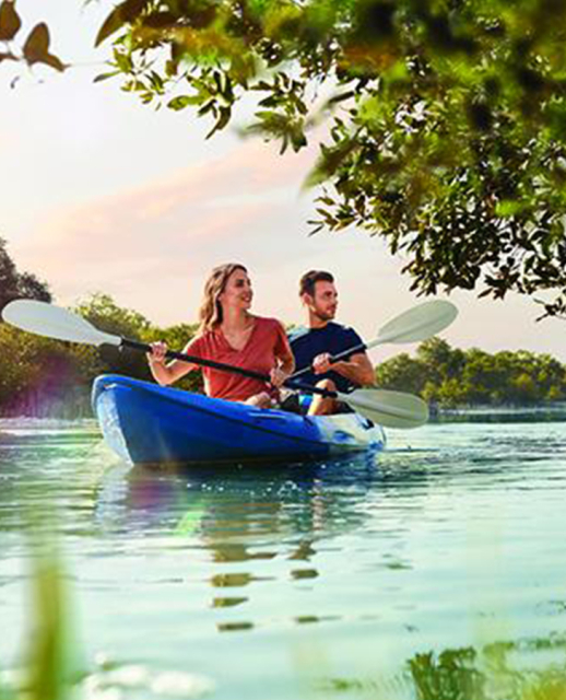 mangroves 729x900